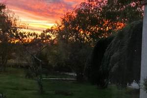 Le jardin
