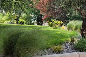 JARDIN ARBORE PARTAGE A DISPOSITION