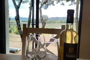 alombredelacheneraie_vue_vignoble_cuisine_grand_pic_saint_loup_tourisme_gite_les_vignes