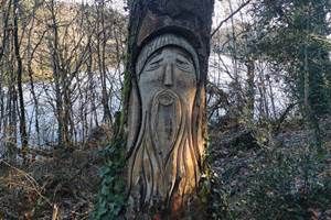 Les arbres sculptés