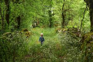 Camping les 3 Cantons - Randonnées au départ du camping
