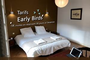 Early-birds-2025-1600x1200