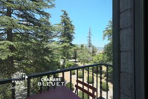 CASTELLROSE-Bleuet-8