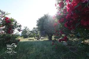 Jardin et Herbes Hautes, quand il fait chaud