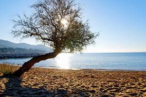plage-carqueiranne-var-1920x960