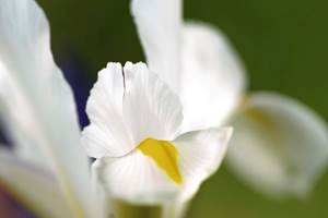 chambre-hotes-riec-sur-belon-finistere-sud-bretagne-cornouailles-bed-and-breakfast-visite-pont-aven-sentier-cotier-randonnée-jardin-centre-bourg