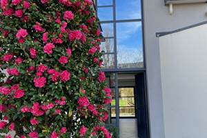 Villa Emeraude Camélia entrée