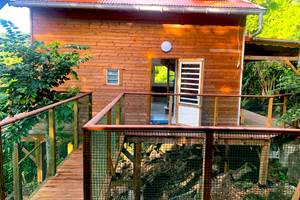 Vue du lodge depuis le carbet de détente