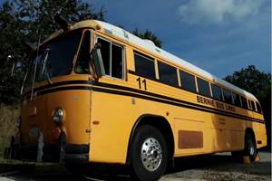 Bus Américain