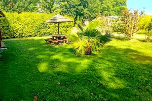 Chalet Komodo - Jardin privatif