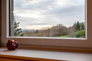 studioD-Gîte-Robelmont-91