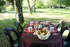 Petit déjeuner dans le jardin