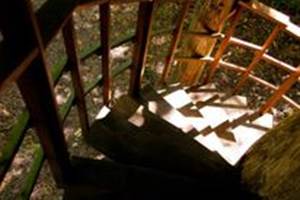 cabane dans les arbres