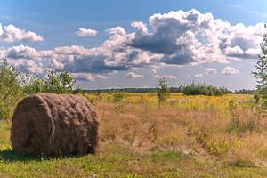Paysage Limousin