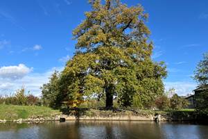 Domaine : un lieu idéal pour le ressourcement
