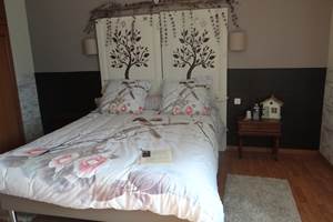 Chambre NICHOIR