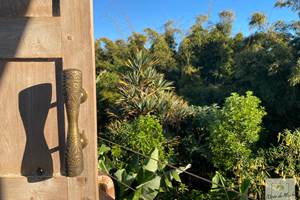 L'Orée du Maïdo - quand style et nature se côtoient