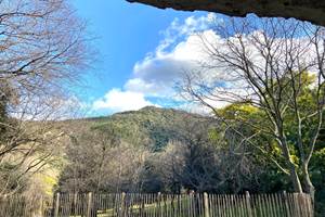 mas-chambre-hotes-proche-collioure