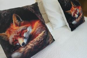 Le Loft du Renard" endormi