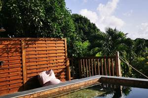 gite-horizon-balisiers-piscine-ombre-vegetation-luxuriante