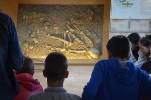 Visite guidée enfants Neandertal- Musée de l'Homme de Neandertal- La Chapelle-aux-Saints©Musée de l'Homme de Neandertal