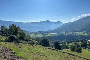 IMG_7856 (1)