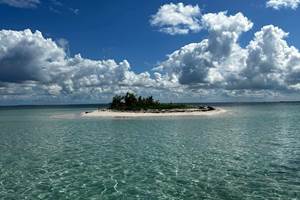 #vacances #week-end #experienceunique #voyage #activitetouristique #nature #sortiegwada #sortiepascher #sortieavis #sortiereservation #meilleursortiegwada #sortie2025 #gwada #repas #aperitif #plongee #plage #masque #tuba