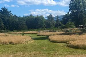Le Ranch Camping - Campsite