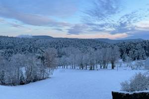 thumbnail_IMG_7202
