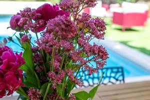 Domaine_Ste_Raffine_web-54