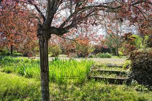Gîte en Touraine entouré de fleurs et de verdure, idéal pour un séjour au calme en pleine nature.