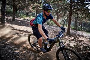 FRED_28_256