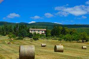 La Bastide du Claus 2020 au pied de la montagne de Lure