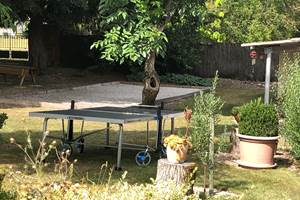 le terrain de pétanque et le ping-pong