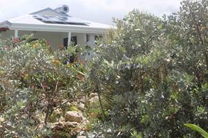 Iguane House villas & Micro Spa Villa Mangrove vue depuis le jardin paysagé