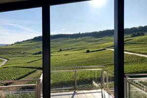 vue sur les vignes au champagne  ARNOULT