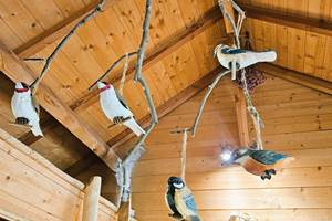 Gîte n°19G2146 "La Cabane du Causse" – LISSAC SUR COUZE