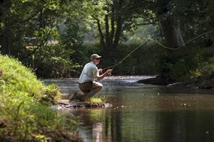 La rivière borde le domaine