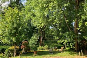 MOULIN DE TOUNAYNE - Jardin