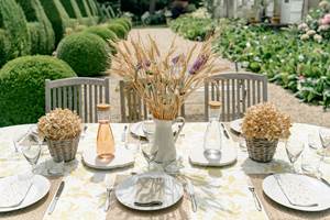 Château de Lasteyrie-Déjeuner en terrasse