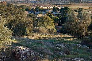 Gîte des Oliviers - Alentours (2)