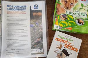 IMG_20250708_120359