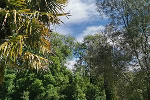 Hébergement lumineux et ensoleillé, Vallée de la Dordogne