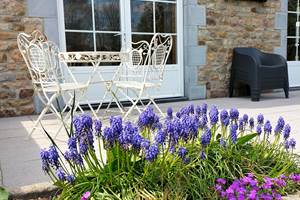 terrasse fleurie