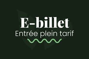 VISUEL_2024_E-BILLET_ENT_PLEIN-TARIF