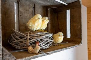 La chambre : Thème le poulailler