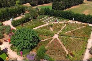 photo aérienne roseraie