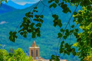 Les tilleuls de la Bastide du Claus face a` l'e´glise du village