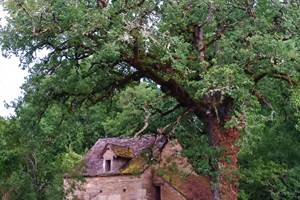 Les Granges de l'Abbaye. Ancienne métairie