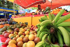 Les jardins des Balisiers Marché de la plage de  sainte anne